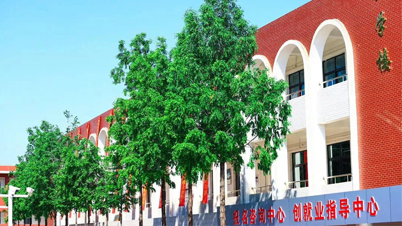 擇校不滿意，轉學需趁早！及時止損，選擇比努力更重要！