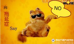 專業(yè)升級優(yōu)惠升級，這樣的選擇簡直了